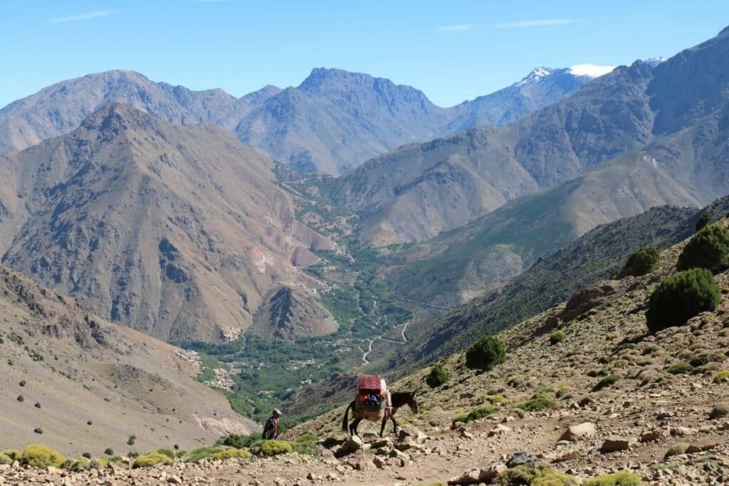 Day Trip From Marrakech: Explore The Atlas Mountains
